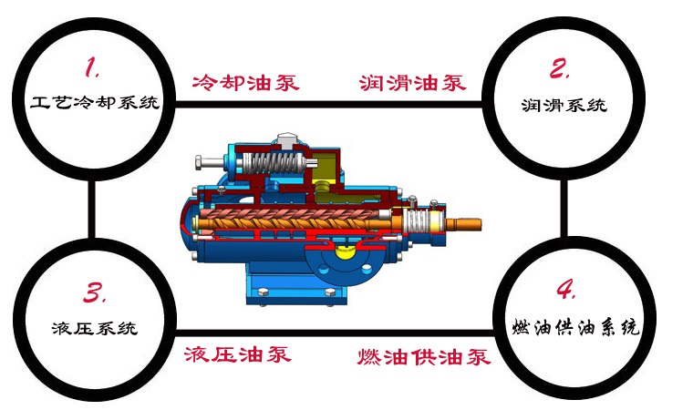 SN三螺桿泵結構圖 SN三螺桿泵結構圖